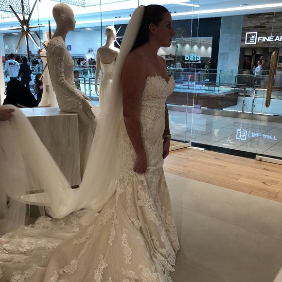 Pronovias NWT Unaltered Bridal12/Street6 Princia